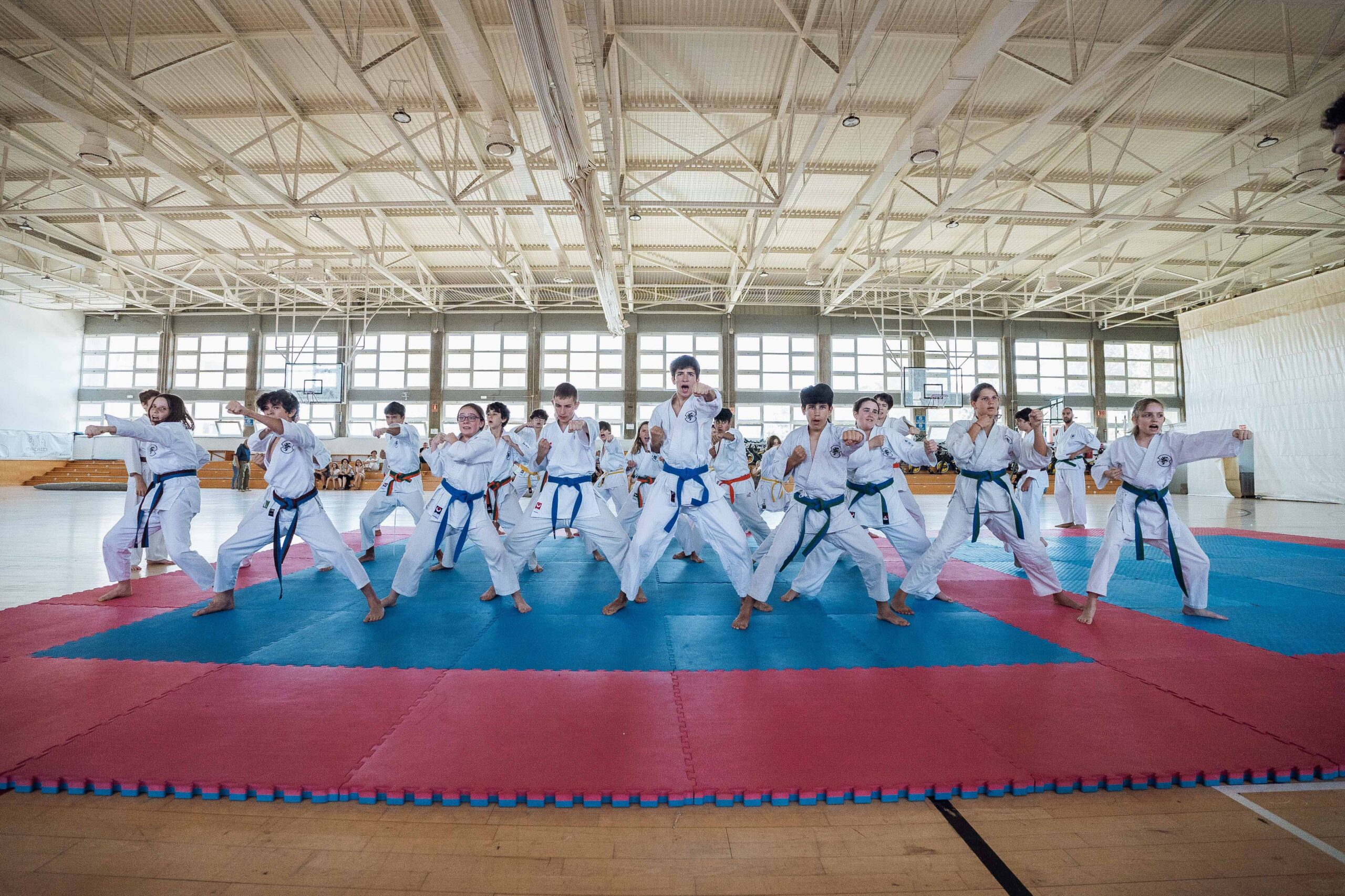 el_dojo_4 el_dojo_4